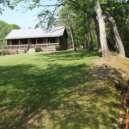 Climbing Bear Creekside Cabin Whittier Exterior photo
